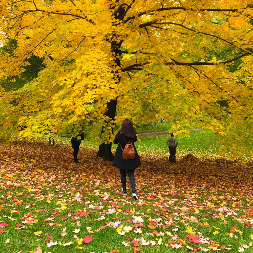 Meet your Posher, Anahi